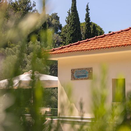 Marina Apartments Kokkari Exteriér fotografie
