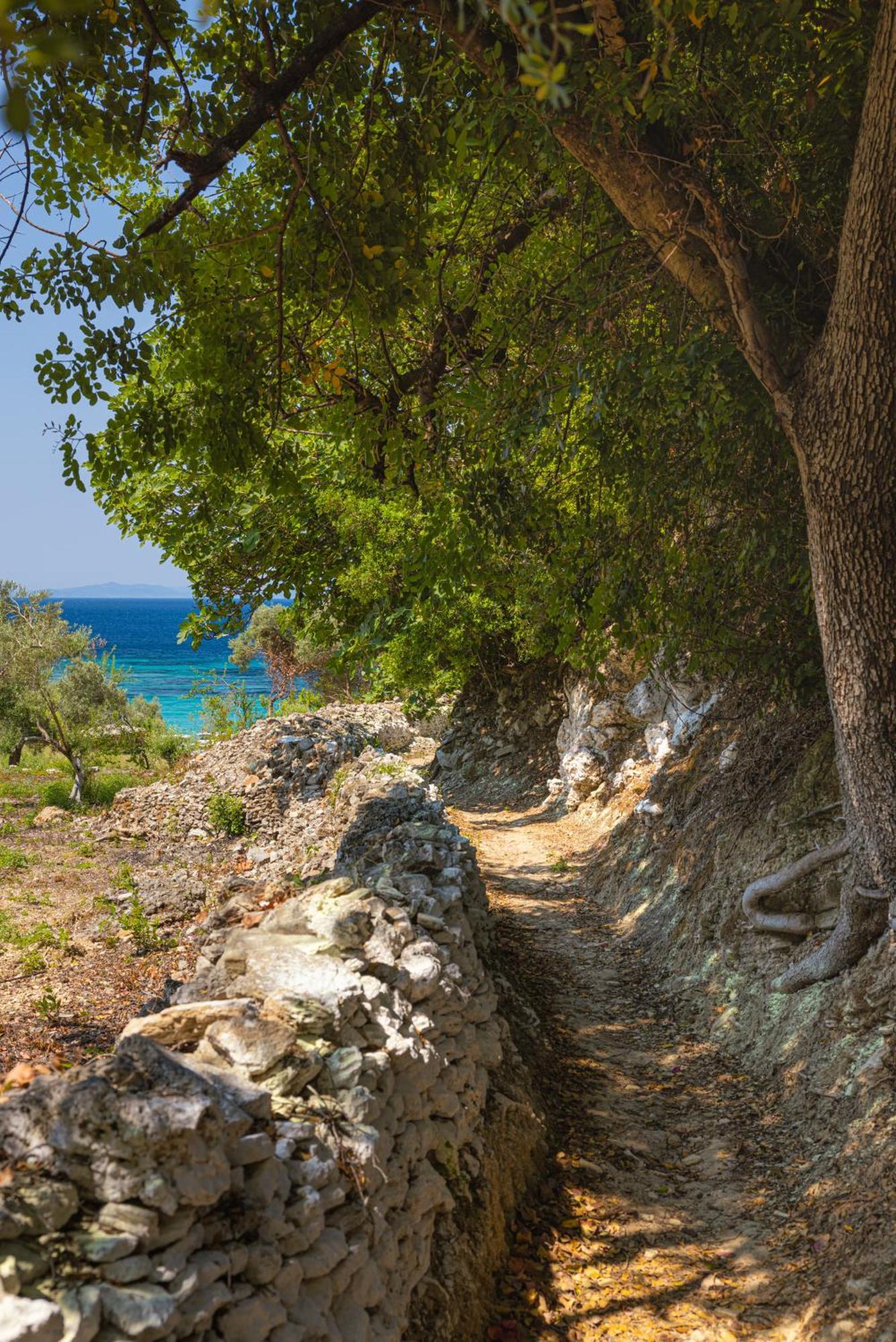 Marina Apartments Kokkari Exteriér fotografie