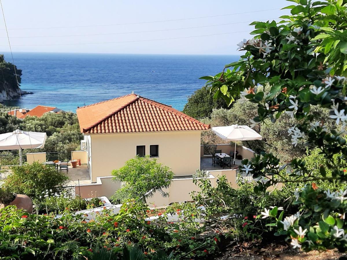 Marina Apartments Kokkari Exteriér fotografie